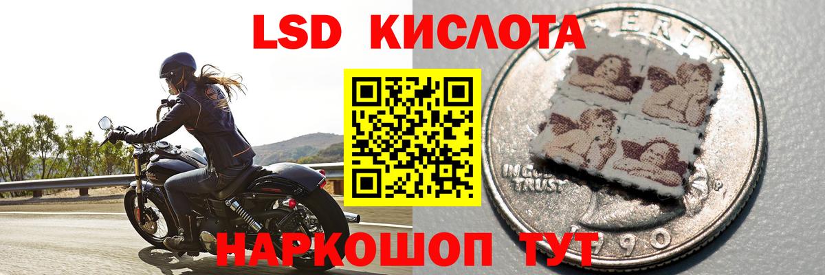 Бошки Шишки Лосино-Петровский
